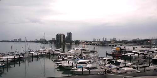 USA Miami Yacht mooring live webcam
