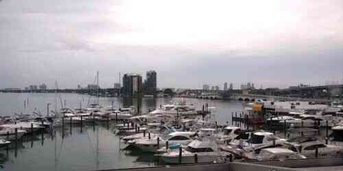 LIVE: Yacht mooring - Miami