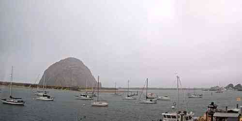 LIVE: Morro Bay Rock and Harbor - Morro Bay