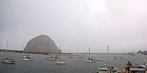 Rocher et port de Morro Bay Webcam