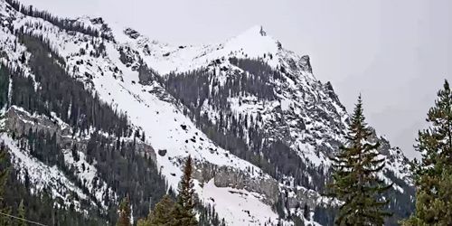 Bosque Nacional Custer Gallatin - Mountain Real Estate Webcam