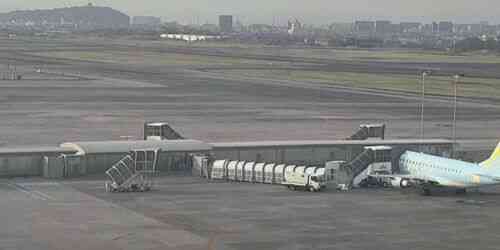 LIVE: Nagoya Airport - Nagoya