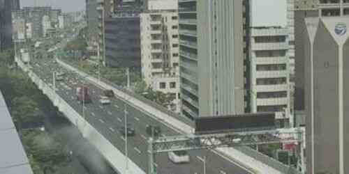 LIVE: Nakamura Ward - Nagoya