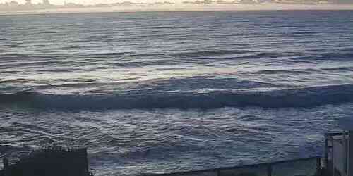 LIVE: Narrabeen Beach - Sydney