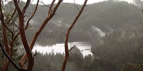Naturaleza de la Columbia Británica Webcam