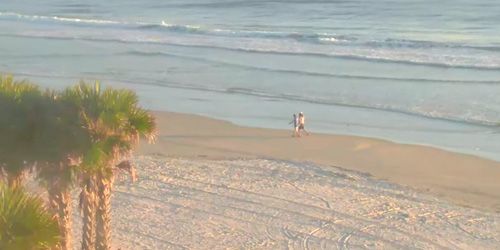 Plage du nord de Daytona webcam - Daytona Beach