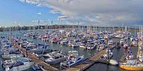 LIVE: Oak Bay Marina - Victoria
