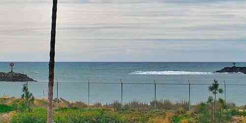LIVE: Oceanside Harbor - San Diego