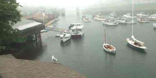 LIVE: Ogunquit Marina - Portland