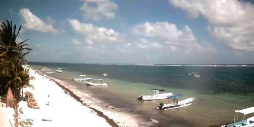 White beach, palm trees in Puerto Morelos webcam - Cancun