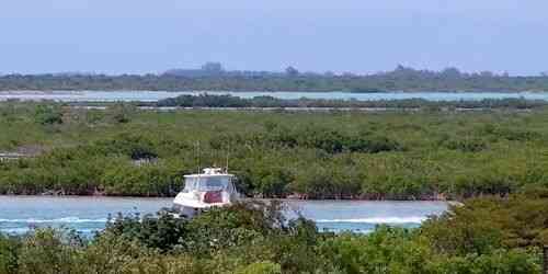 LIVE: Panorama of islands, water channels and jungle - Nassau