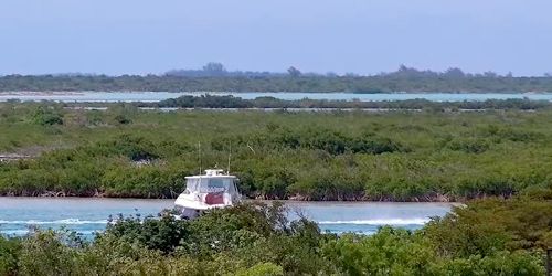 Panorama de islas, canales de agua y selva. Webcam
