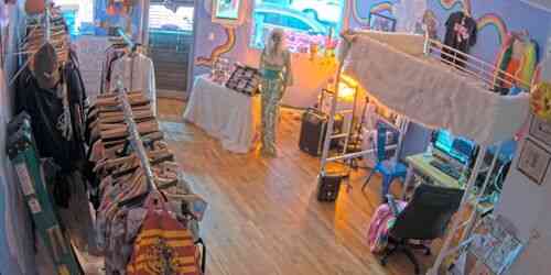 LIVE: Paperboy Prince Love Gallery in Bushwick - New York