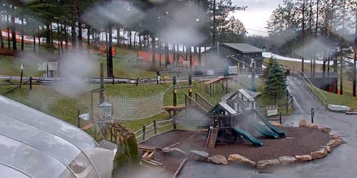 Parque de la montaña Wisp Webcam