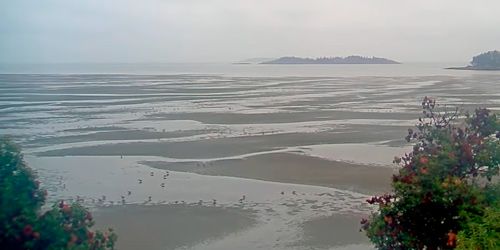 Parksville's shallow waters webcam - Nanaimo