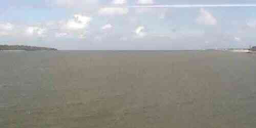 LIVE: Passage of ships along the river - Savannah