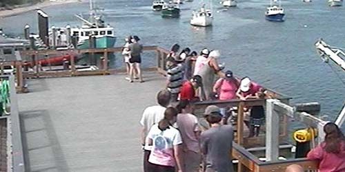 The Fish Pier webcam - Chatham