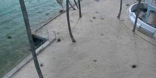 Muelle de pesca de Ponce de León webcam - Key West