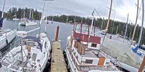 LIVE: Yacht pier - Nanaimo