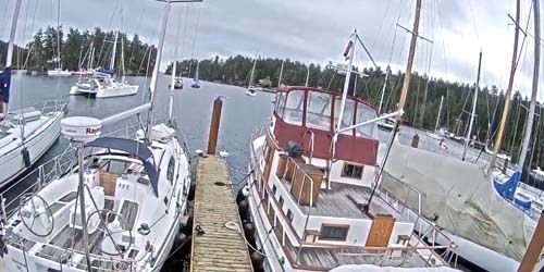 Jetée pour yacht webcam - Nanaimo