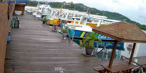LIVE: Pier with yachts - Coxen Hole
