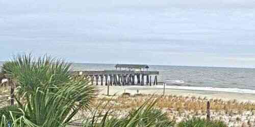 LIVE: Fishing pier on the Atlantic coast - Savannah