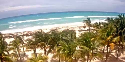 Plage avec palmiers dans la région de Playacar webcam - Playa del Carmen
