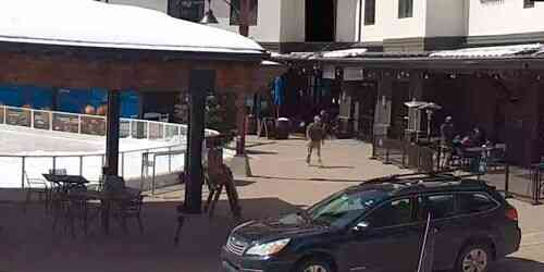 LIVE: Lower Plaza on Taos Ski Resort - Taos