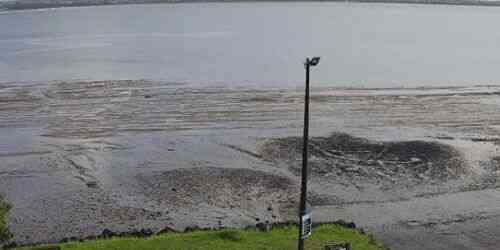 LIVE: Point Chevalier - Auckland