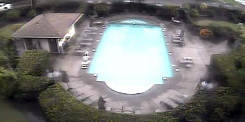 Pools in hotels on the coast Webcam