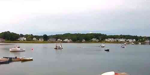 LIVE: Cove at Cape Porpoise - Portland
