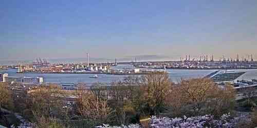 LIVE: Port of Hamburg - Hamburg