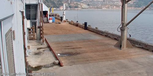 Port San Luis Webcam