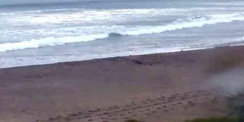 LIVE: Survey camera on the coast - Tamarindo