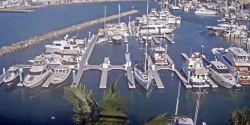 View of the quays from the Galleon Resort and Marina webcam - Key West