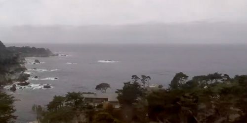 Réserve marine d'État de Point Lobos webcam - Monterey