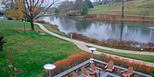 Resort de cabeza de jabalí junto al lago webcam - Charlottesville
