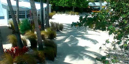 Pines and Palms Resort - Islamorada webcam - Miami