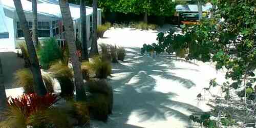 LIVE: Pines and Palms Resort - Islamorada - Miami