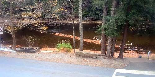 Clarion River in Cook Forest Webcam
