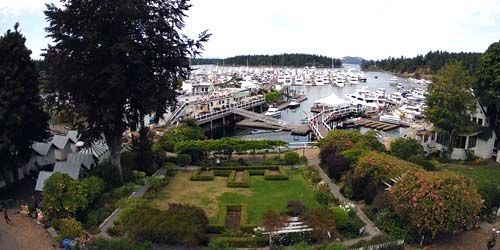 Moorings with yachts in Roche harbor Webcam