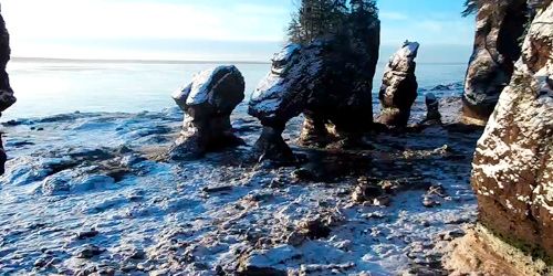 Parc provincial Hopewell Rocks webcam - Moncton