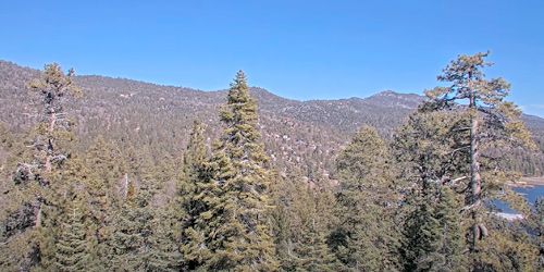 Forêt nationale de San Bernardino webcam - San Bernardino