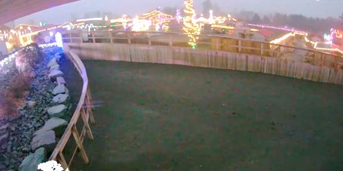 Savane au parc d'aventure animale webcam - Binghamton