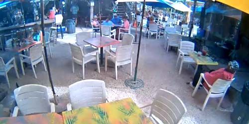 Schooner Wharf Bar Webcam