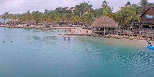 LIVE: Sea Aquarium - Willemstad