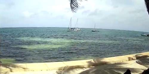 Caribbean seafront webcam - San Pedro