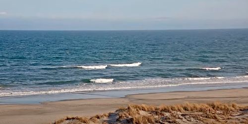 Playa de la isla del mar webcam - Cape May