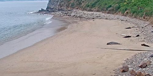 Costa nacional de Point Reyes webcam - San Francisco