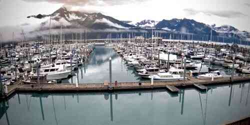 LIVE: Seward Boat Harbor - Anchorage